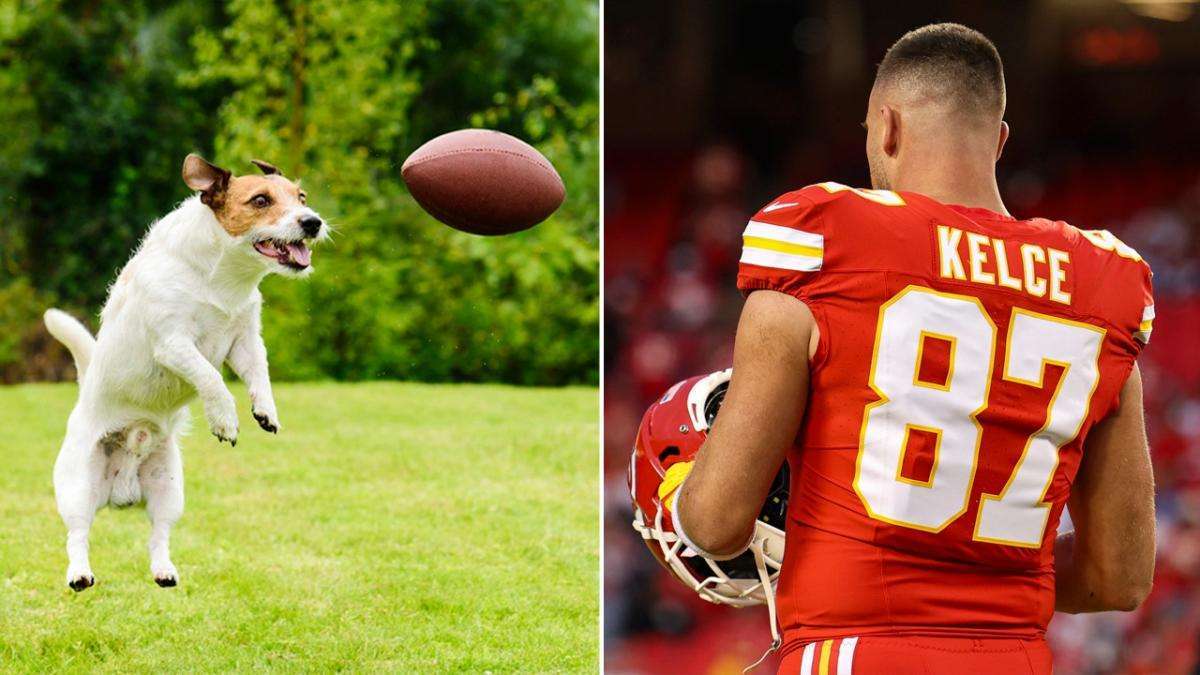 'Kelce' Becomes a top Trending Dog Name in America:The name 'Kelce' is up 135% in Popular Names for Dogs as Travis Kelce and Taylor Swift's Relationship Trends