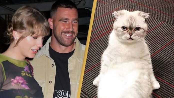 Breaking: Taylor Swift’s cat have a higher net worth than Travis Kelce