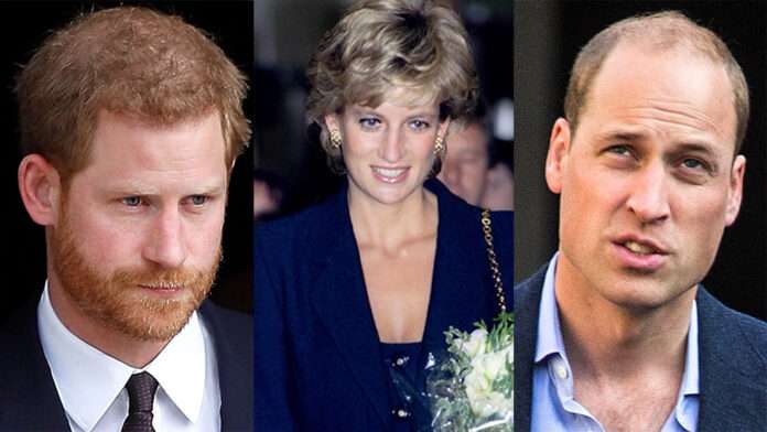 Princess Diana’s Former Assistant Claims She Would ‘Have a Broken Heart’ Over Prince William and Prince Harry’s Feud That ‘Meghan Caused’
