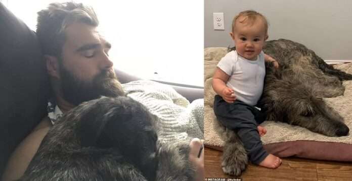 Jason and Kylie kelce revealed Bennette reaction on the loss of family dog, She feels it the most...she cried and won,t eat since.....