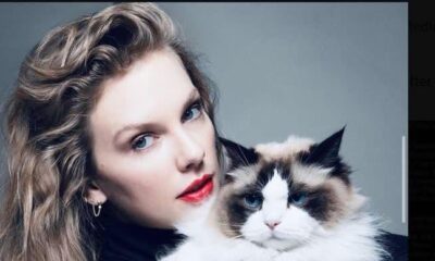 Taylor Swift endorsed Kamala Harris after Tuesday night’s presidential debate. In a post to her 283 million Instagram followers that featured a photo with her cat, the pop superstar said the debate convinced her to weigh in publicly.