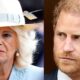 ROYAL TENSION PERSIST "Prince Harry is a ’wolf in sheep’s clothing": Queen Camilla strongly against the Duke’s return to Royal Family.... He’d be wise to stay far away from Camilla,