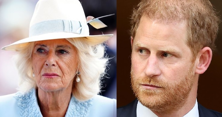 ROYAL TENSION PERSIST "Prince Harry is a ’wolf in sheep’s clothing": Queen Camilla strongly against the Duke’s return to Royal Family.... He’d be wise to stay far away from Camilla,