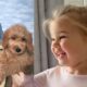 Uncle Travis got his niece a golden furry friend, Wyatt couldn’t contain her joy she said, glowing with so much happiness “we will name her after winnie”